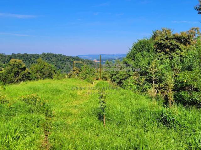 Venda em Pardinho - Pardinho