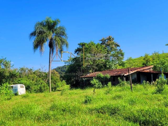 #ST0939 - Sítio para Venda em Pardinho - SP - 3