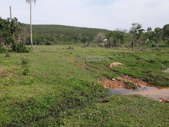 #ST01004 - Sítio para Venda em Bofete - SP - 1