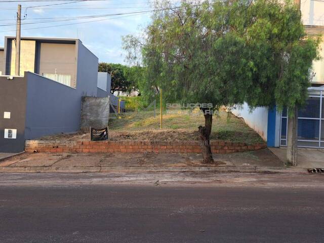 #TE01103 - Terreno para Venda em Botucatu - SP - 3