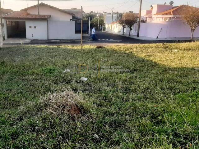 #TE01164 - Terreno para Venda em Botucatu - SP - 1