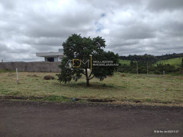 #TE01186 - Terreno para Venda em Botucatu - SP - 2